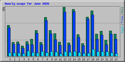 Hourly usage for June 2026